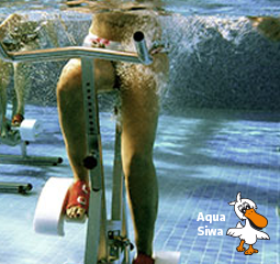 Aqua Cycling Aqua Siwa