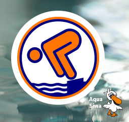 Bronze Kurs Aqua Siwa