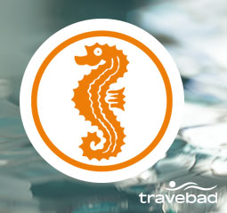 Seepferdchen Kurs Travebad